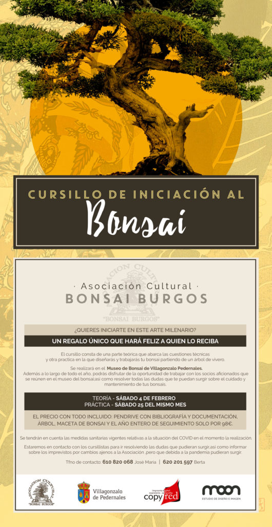 Curso de Bonsái Burgos 2023