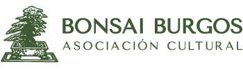 Asociación Cultural Bonsái Burgos
